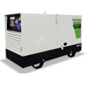 GREEN POWER GP33SH/DW SUPER SILENZIATO CON ALTERNATORE AVR-LINZ (CENTRALINA MANUALE)