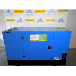 CGM 45P 45 KVA - 380/460 V - 50/60 Hz