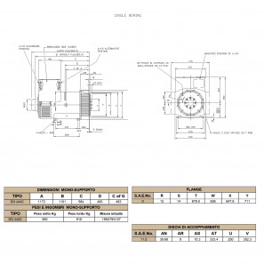 BELTRAME DINGOL DG444C Three-phase Alternator 250 kVA AVR