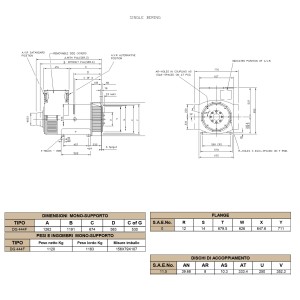 BELTRAME DINGOL DG444C Three-phase Alternator 250 kVA AVR