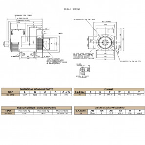 BELTRAME DINGOL DG444C Three-phase Alternator 250 kVA AVR