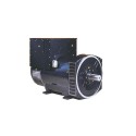 BELTRAME DINGOL DG444C Three-phase Alternator 250 kVA AVR