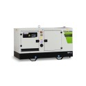 GREEN POWER GP1120SM/M SILENZIATO CON ALTERNATORE AVR-MECC ALTE (CENTRALINA MANUALE)