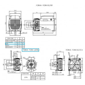 LINZ E1C11M B Single-phase alternator 115/230V 12 kVA 50 Hz Brushless