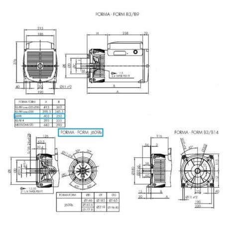 LINZ E1C11M B Single-phase alternator 110/220V 12.5 kVA 60 Hz Brushless LINZ E1C11M B Single-phase alternator 110/220V 12.5 kVA 60 Hz Brushless