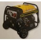 LTF RP8000 SINGLE PHASE GASOLINE 8 KW AVR