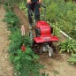 HONDA FF 500 K1 MOTOZAPPA FRESE ANTERIORI CONTROROTANTI 160 cc