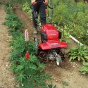 HONDA FF 500 K1 Motozappa controrotante