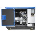 GRUPPO ELETTROGENO HYUNDAI 11 KW AVR