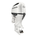 HONDA Outboard BF 250D XDU WHITE Extra Long Shaft 183.9 kW