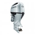 Honda BF225D UCDU fuoribordo 225HP | Manel Service