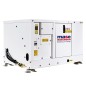 MASE VOYAGER 6020 DM GENERATORE 7,5KVA VEICOLARE MONOFASE AVR STAGEV MASE VOYAGER 6020 DM GENERATORE 7,5KVA VEICOLARE MONOFASE AVR STAGEV