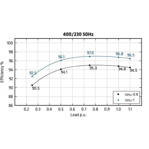 MECC ALTE ECO40-1L/4 - Efficiency