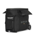 ECOFLOW DELTA PRO BORSA PER IL TRASPORTO