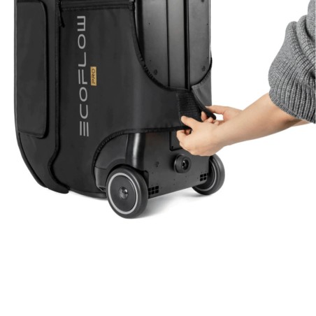 ECOFLOW DELTA PRO BORSA PER IL TRASPORTO ECOFLOW DELTA PRO BORSA PER IL TRASPORTO