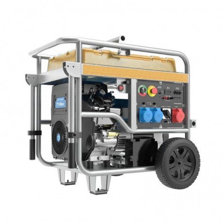 Generatore mono/trifase AVR StageV | Manel Service