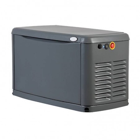 Generatore 10 KVA Gas Naturale.
