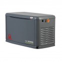 Vendita generatore PRAMAC GA20000 20 KVA GPL - 17 KVA Gas Naturale.