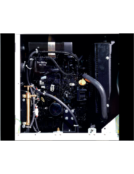 MG 10.3 DT