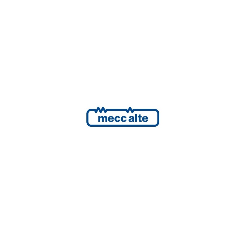 MECC ALTE TOTAL IMPREGNATION + (BLACK MAIN STATOR & EXCITER STATOR, GREY ROTOR) FOR ECP30 ALTERNATORS