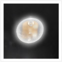 VITRIFRIGO - Luce LED (standard)