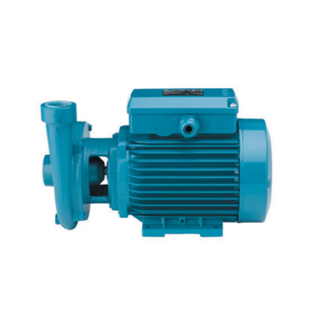 Vitrifrigo Pompa Acqua di Mare Centrifuga