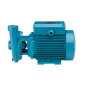 Vitrifrigo Pompa Acqua Mare Centrifugal BCM22E