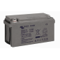 Victron AGM Batteria a ciclo profondo da 12V-240Ah