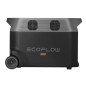ECOFLOW DELTA PRO PORTABLE BATTERY 3,6 KW REMOTE CONTROL ECOFLOW DELTA PRO PORTABLE BATTERY 3,6 KW REMOTE CONTROL