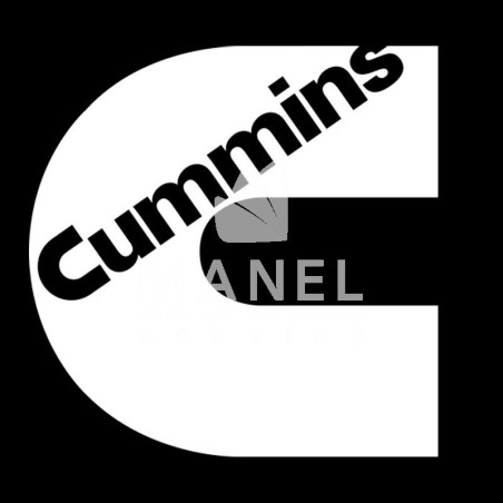 CUMMINS ONAN 300-5725-01 12V Remote Control Panel