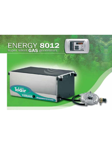 TELAIR ENERGY 8012G generator | Manel Service