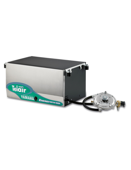 TELAIR ENERGY 8012G generator | Manel Service