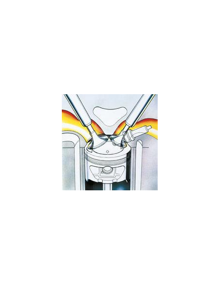 HONDA BF5DH SHU Outboard | Manel Service