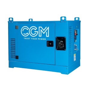 CGM CS17000 single-phase generator | Manel Service