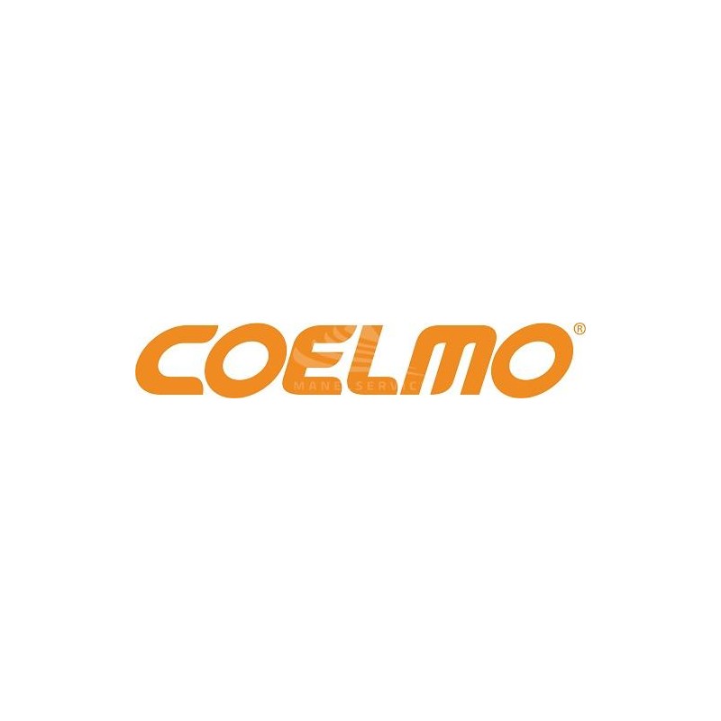 coelmo cinghia per dm600