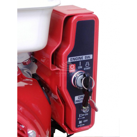 WFM PN54-MTHE