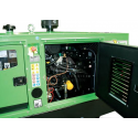 GREEN POWER GP 430 S/G MARELLI