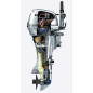 HONDA Fuoribordo BF 10 XRU Albero 70 cm Guida a distanza 7.4 kW 222 cm³