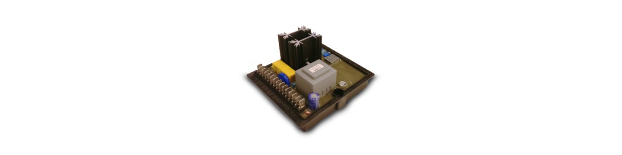 Sales and Shipping Voltage Regulators / Revolutions | Man.El.Service