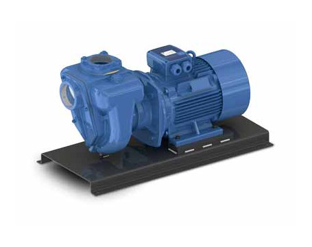 Electric pumps - International sales and shipping | Man.El.Service
